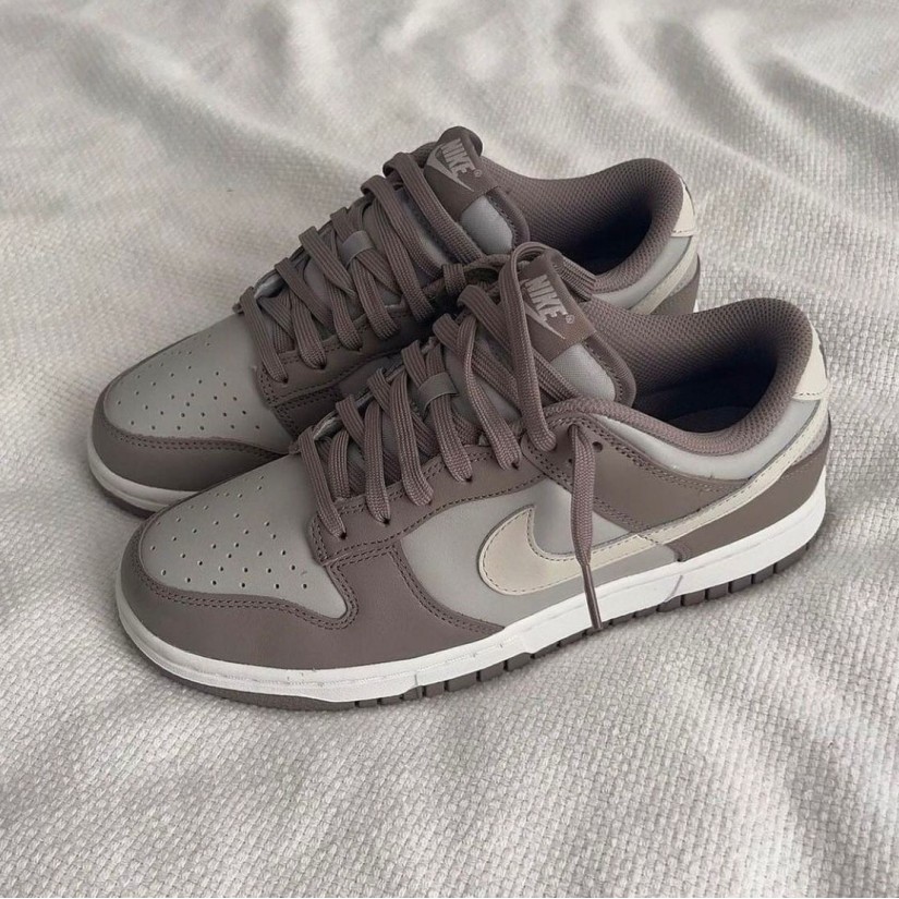 Nike Dunk Low Nova