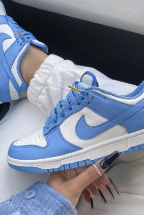 Nike dunk mavi