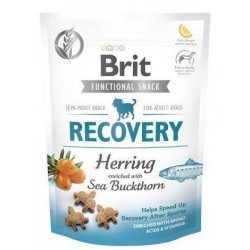 Brit Recovery Ringa Balıklı Köpek Ödülü 150 Gr