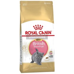 Royal Canin British Shorthair Kitten 2 Kg