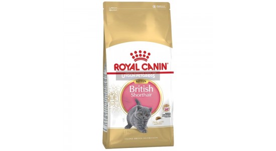 Royal Canin British Shorthair Kitten 2 Kg
