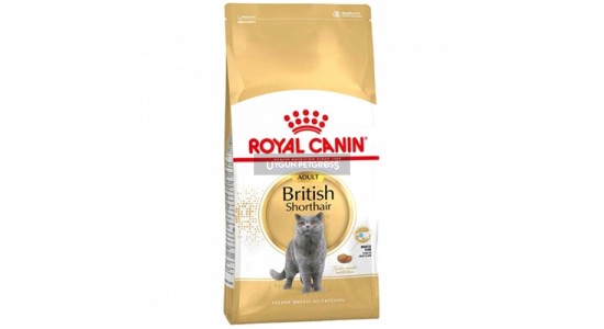 Royal Canin British Shorthair Özel Kedi Maması 4 Kg