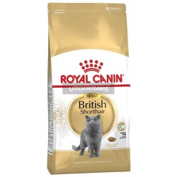 Royal Canin British Shorthair Yetişkin 2 Kg