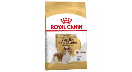 Royal Canin Cavalier King Charles Köpek Maması 3 Kg