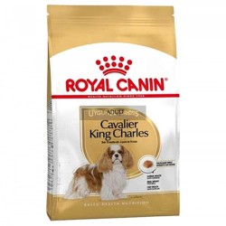 Royal Canin Cavalier Yetişkin 1.5 Kg