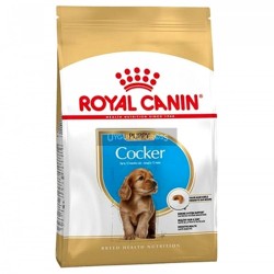 Royal Canin Cocker Yetişkin 3 Kg
