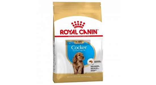 Royal Canin Cocker Yetişkin 3 Kg