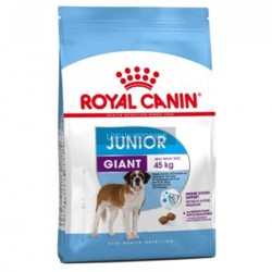 Royal Canin Giant Junior İri Irk Yavru Köpek Maması 15 Kg