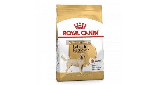 Royal Canin Labrador Retriever Irk Köpek Maması 12 Kg
