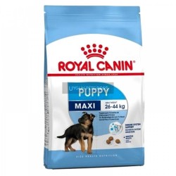 Royal Canin Maxi Puppy Büyük Irk Yavru Köpek Maması 15 Kg