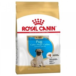 Royal Canin Pug Yetişkin 1.5 Kg