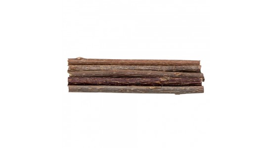 Eastland Matatabi Kedi Stick 5 Li 12 Cm