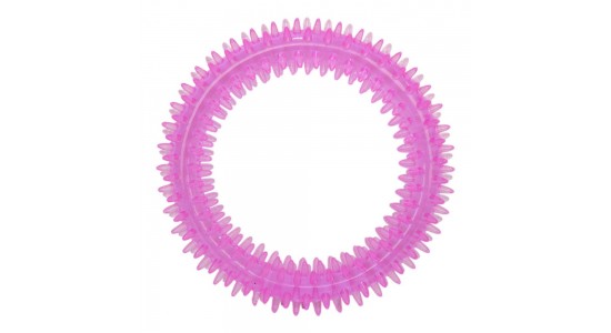Eastland Plastik Diş Kaşıma Simit 12 Cm