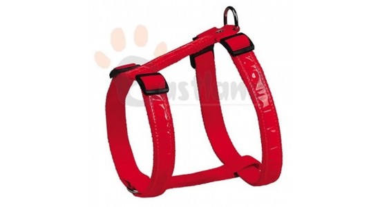 Eastland Bel Tasması Pvc 2x50-70 Cm