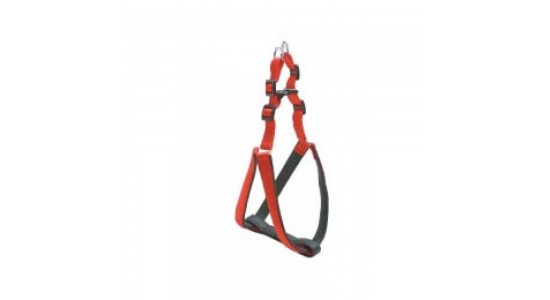 Eastland Soft Bel Tasması 1.5x52-65 Cm
