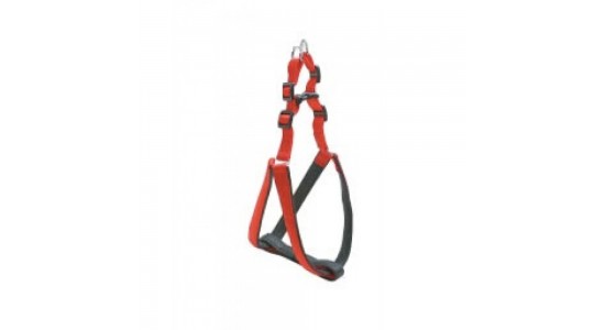 Eastland Soft Bel Tasması 2.5x77-98 Cm