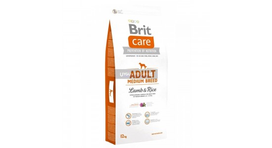 Brit Care Kuzu Etli Orta Irk Yetişkin Köpek Maması 12 Kg