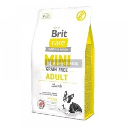 Brit Care Mini Küçük Irk Kuzu Etli Tahılsız Yetişkin Köpek Maması 2 Kg