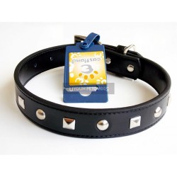 Eastland Metal İslemeli Deri Köpek Tasması 50 Cm