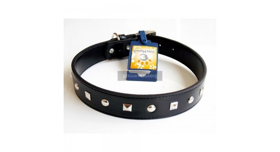 Eastland Metal İslemeli Deri Köpek Tasması 60 Cm