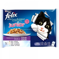 Felix Junior Tavuklu Yavru Kedi Konserve Maması 100 Gr (4Lü Paket)