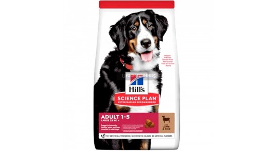 Hills Kuzu Etli Büyük Irk Yetişkin Köpek Maması 14 Kg