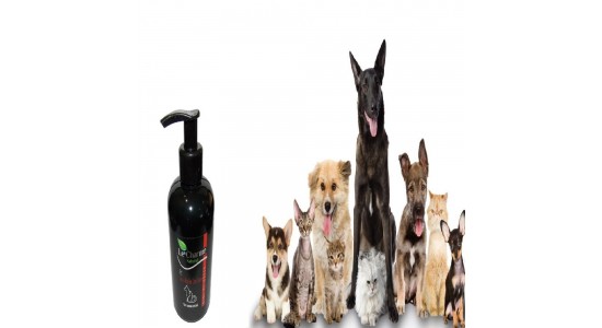 Le Charme Tüy Bakim Kremi 250 Ml