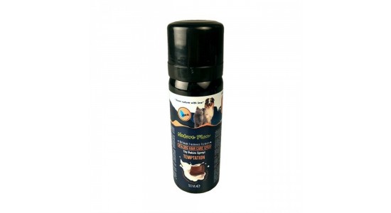 Nature Plan Temptetion Tuy Bakim Spreyi 50 Ml