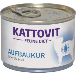 Kattovit Recovery Kedi Konserve Maması Kilo Aldırıcı