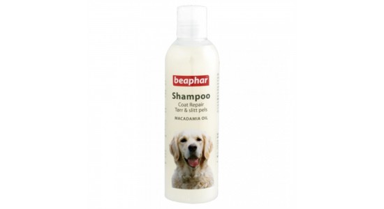 Beaphar Macedemia Özlü Kitik cözücü Köpek sampuani 250 Ml 18276