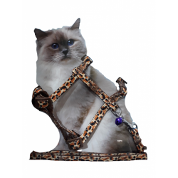 Uygun Petgross Leopar Desenli Kedi Tasması