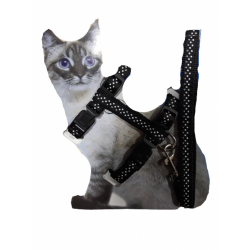 Uygun Petgross Siyah Kedi Tasması