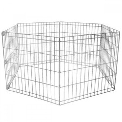 Köpek citi 61x38 Cm