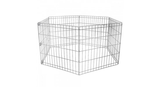 Köpek citi 63x63 Cm