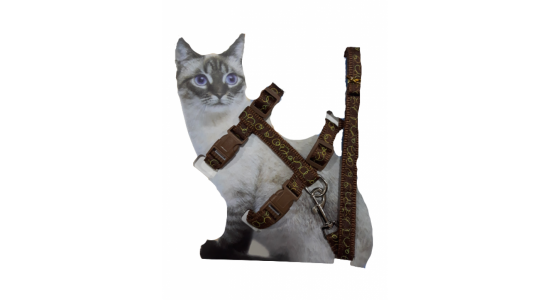 Uygun Petgross Kahve Rengi Kedi Tasması